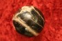 Petrified Wood ball 1